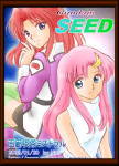 �t���C�����N�X�i�K���_��SEED�j